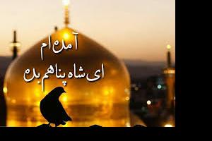 امام رضا ع